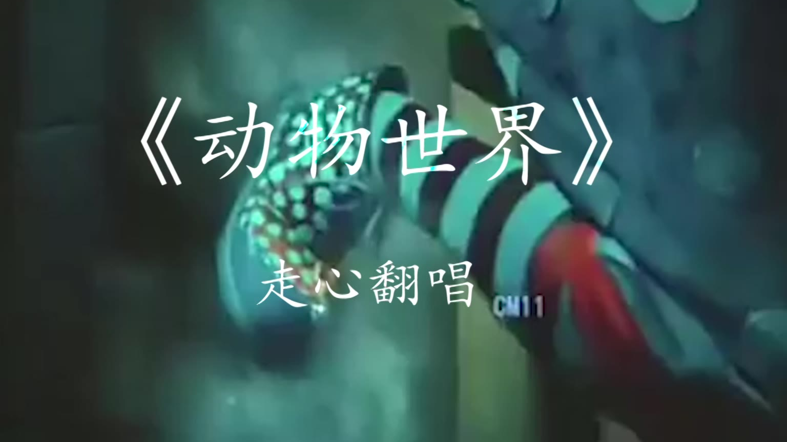 【动物世界】-翻唱